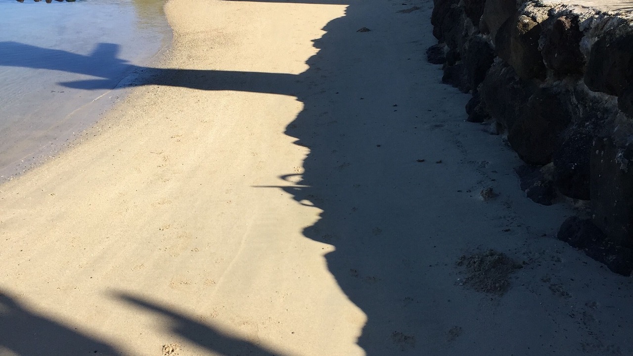 Photo of Others in Moorea-Maiao