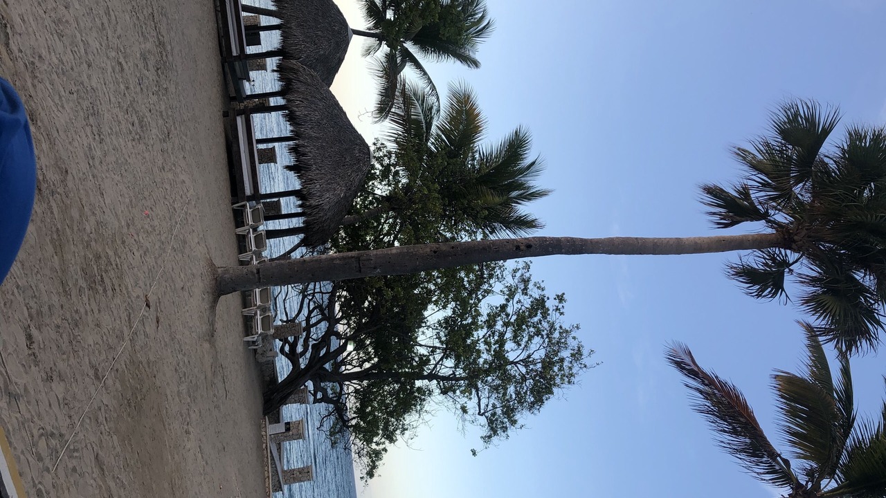 Photo of Outdoor in Los Brazos