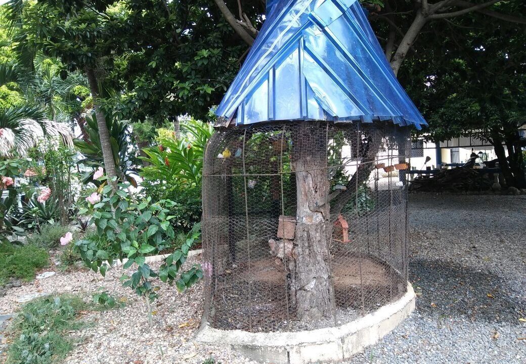Photo of Outdoor in Tamboril