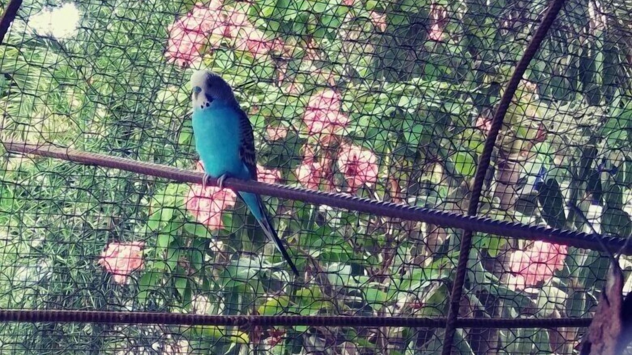 Photo of Outdoor in Tamboril