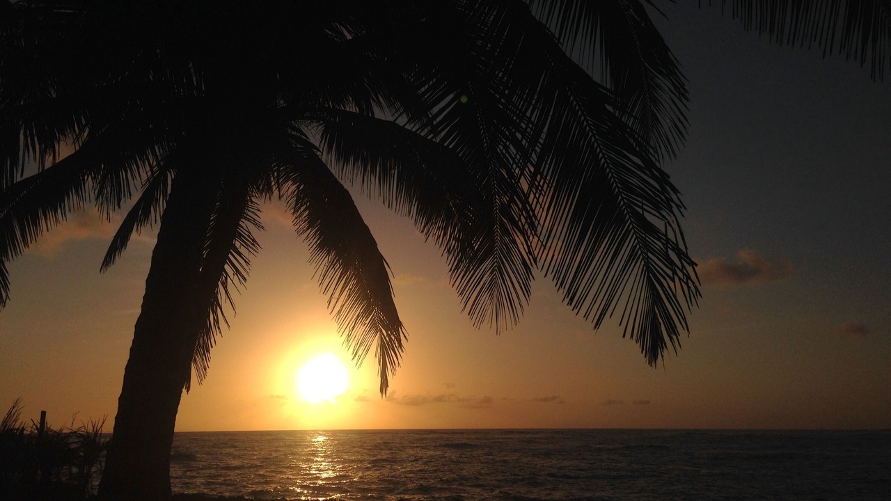 Photo of Others in Nagua