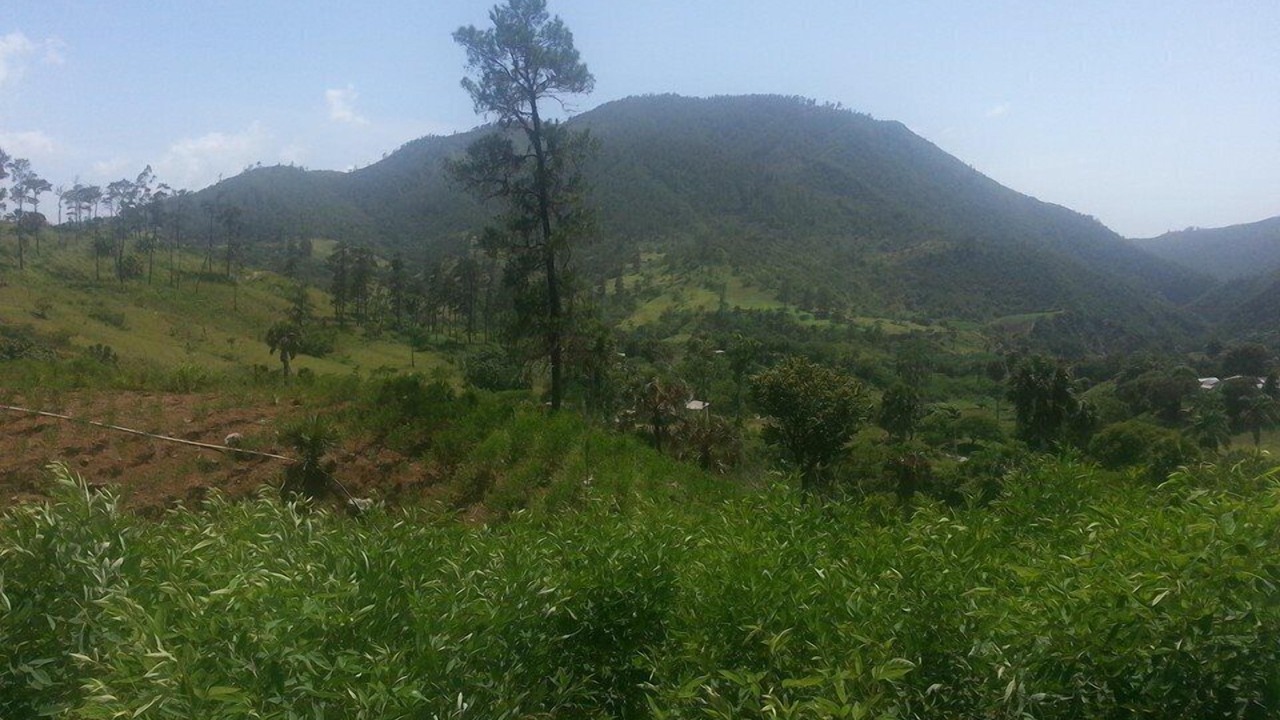 Photo of Others in San Jose de Ocoa
