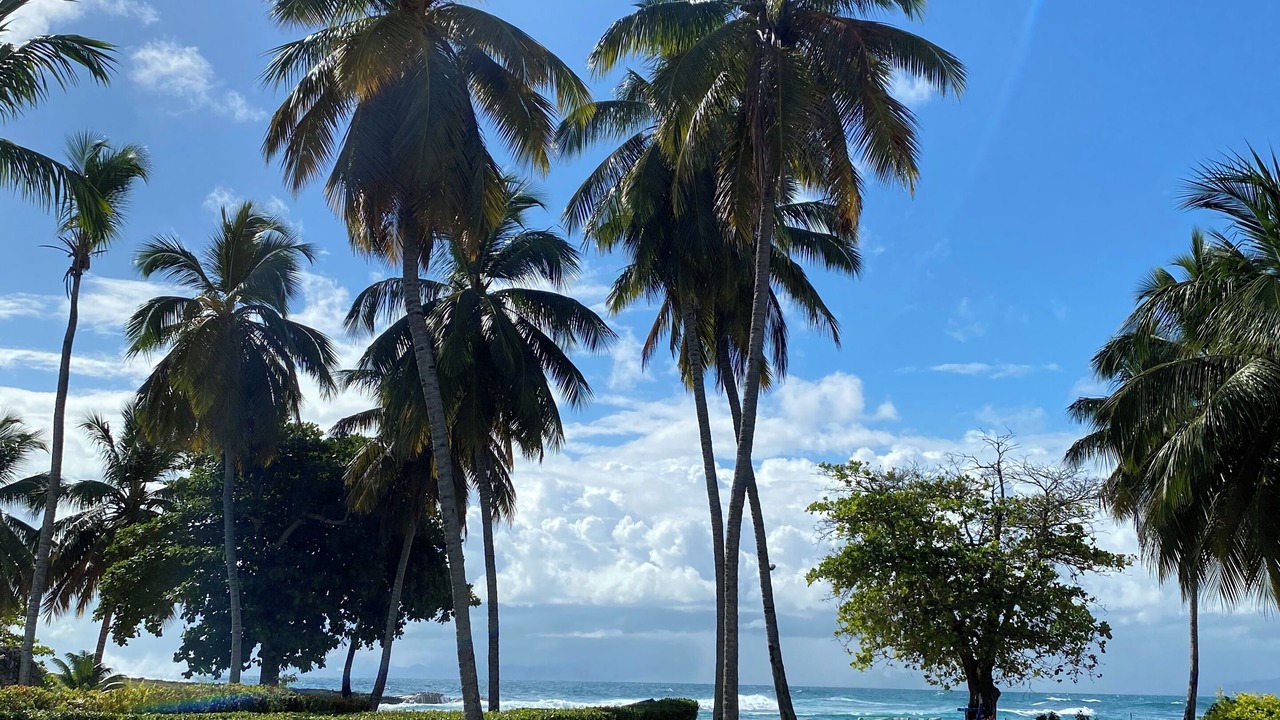 Photo of Outdoor in Samana
