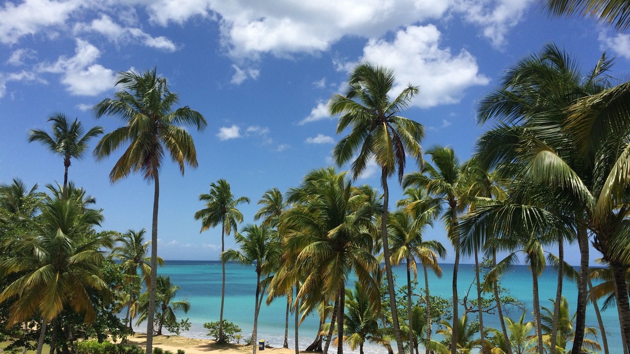 Photo of Others in Puerto Bahia