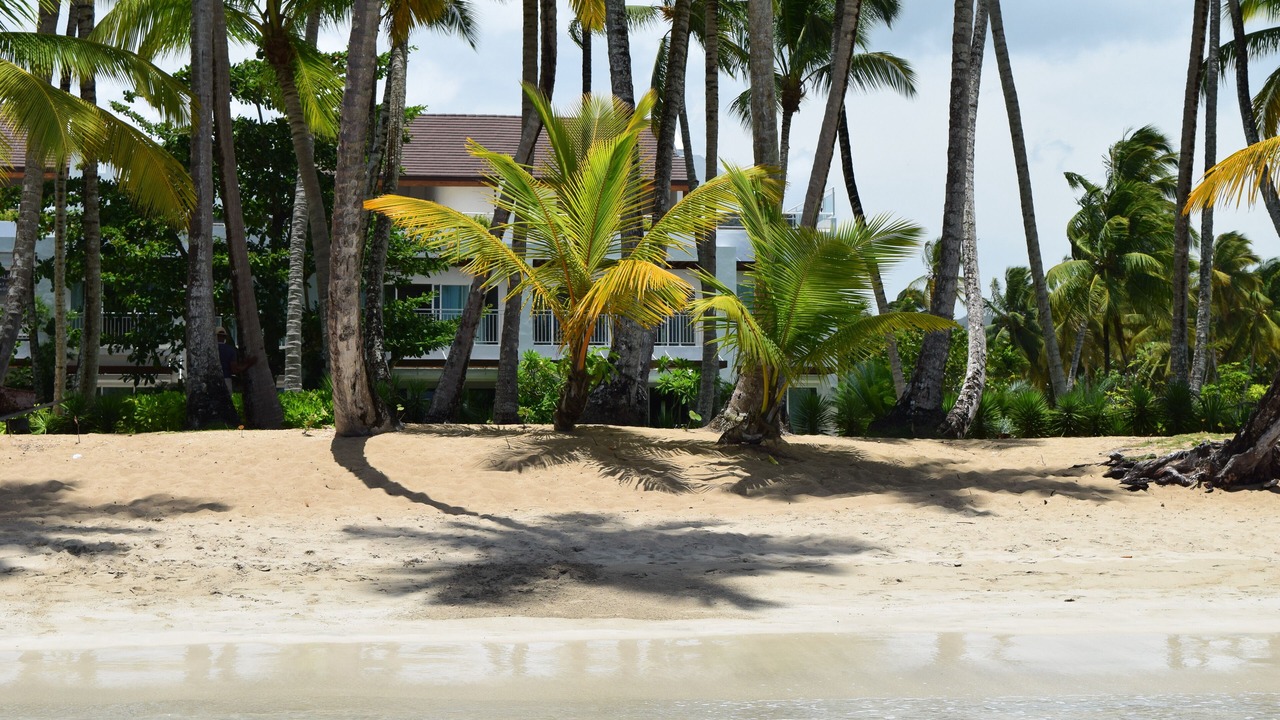 Photo of Others in Puerto Bahia