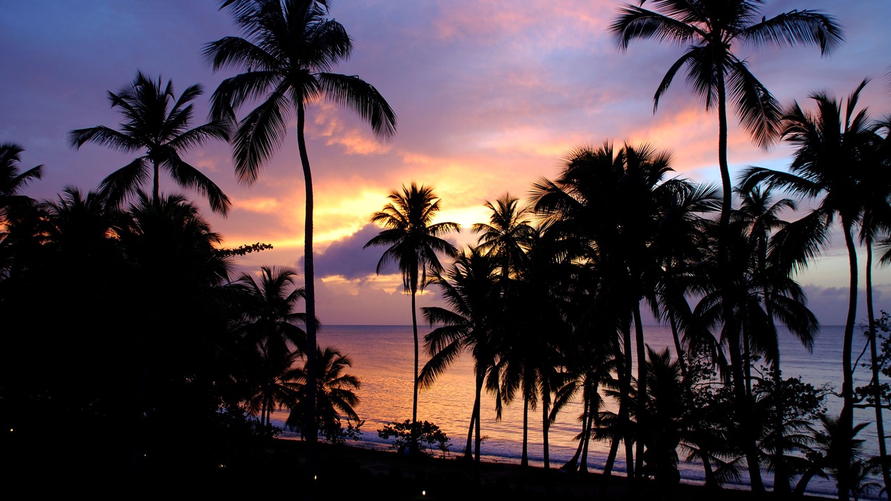 Photo of Others in Puerto Bahia