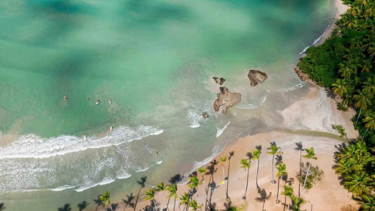 Photo of Others in Puerto Bahia