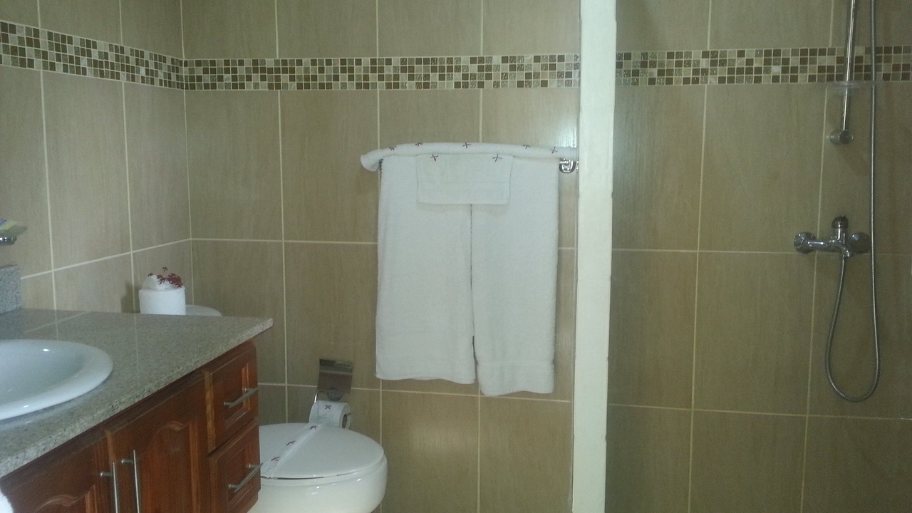 Photo of Bathroom in El Batey