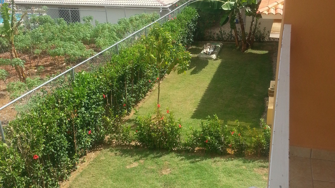 Photo of Outdoor in Urbanizacion Tavarez