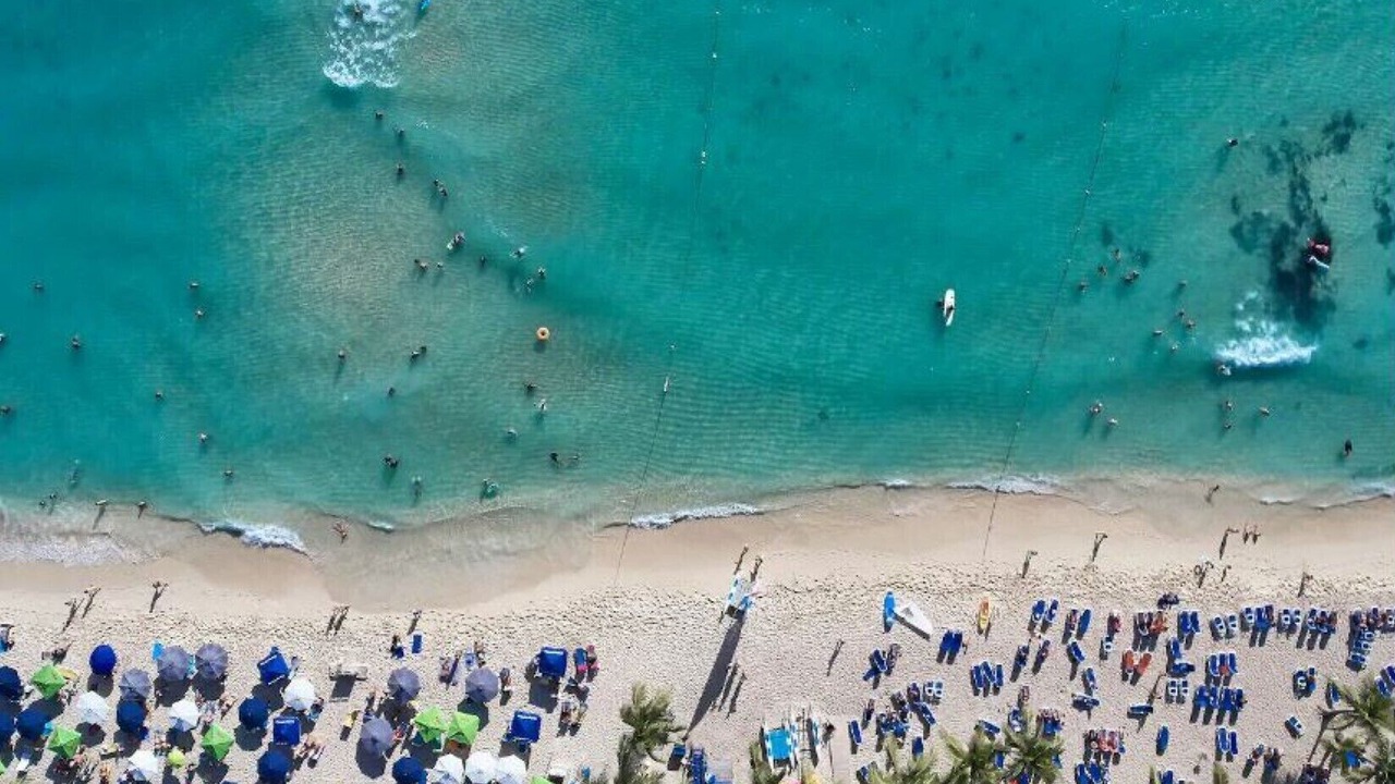 Photo of Others in Dominicus