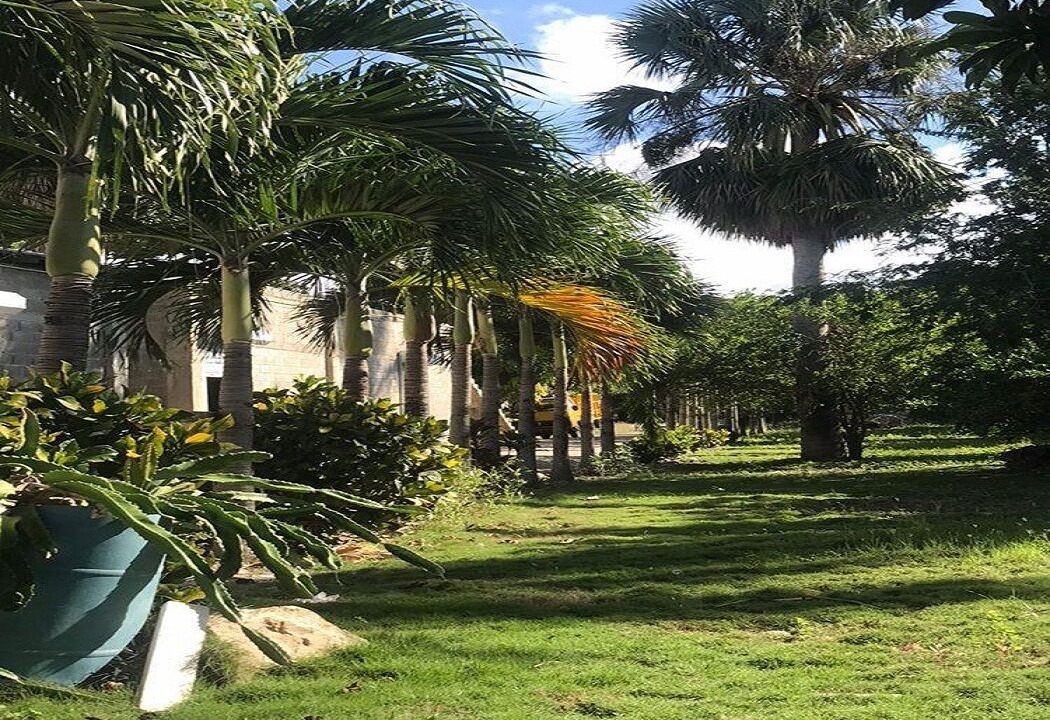 Photo of Outdoor in Santiago de los Caballeros
