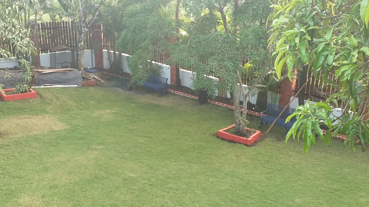 Photo of Outdoor in Pedro Brand