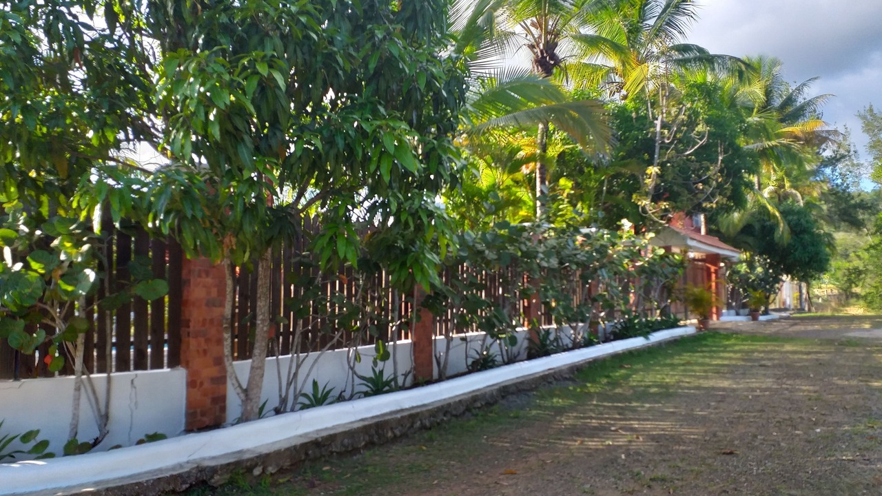 Photo of Outdoor in Pedro Brand