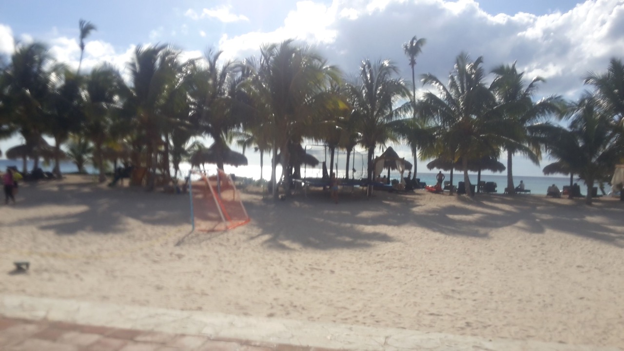 Photo of Others in Guaraguao