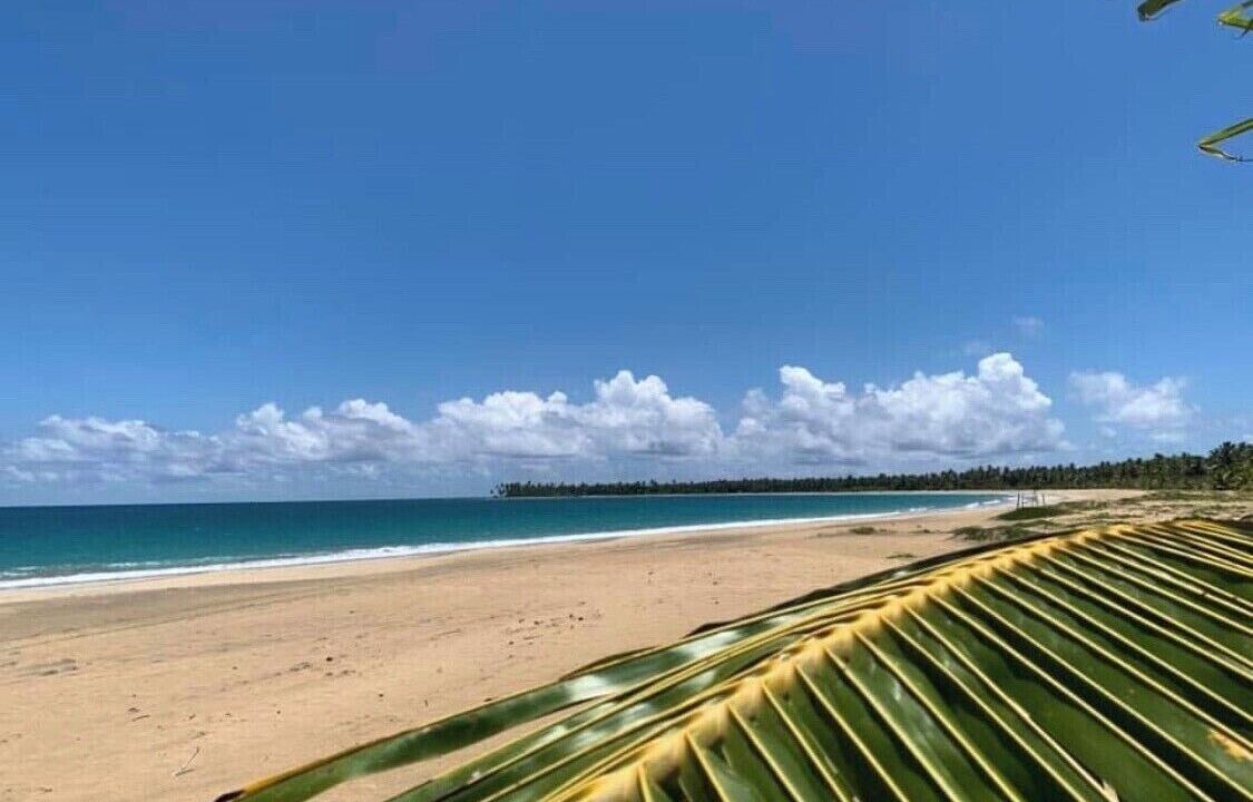 Photo of Others in Playa Bibijagua