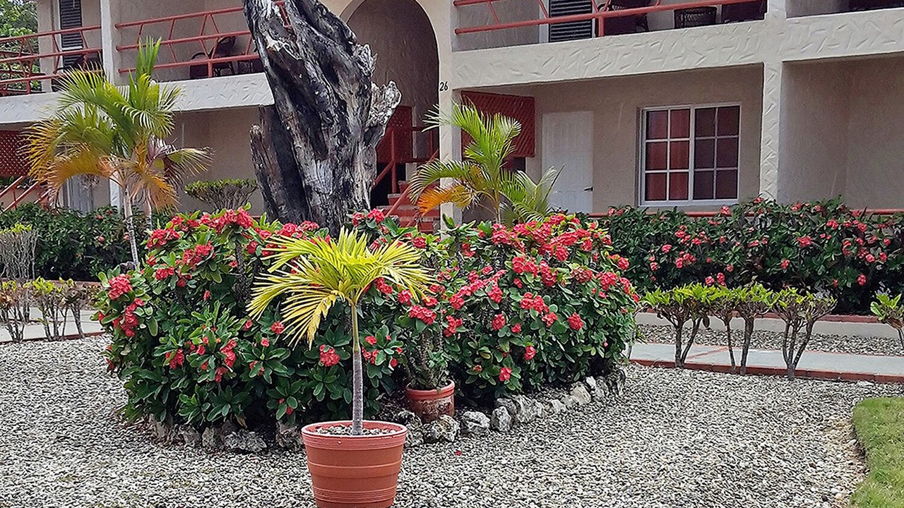 Photo of Outdoor in Playa Chiquita
