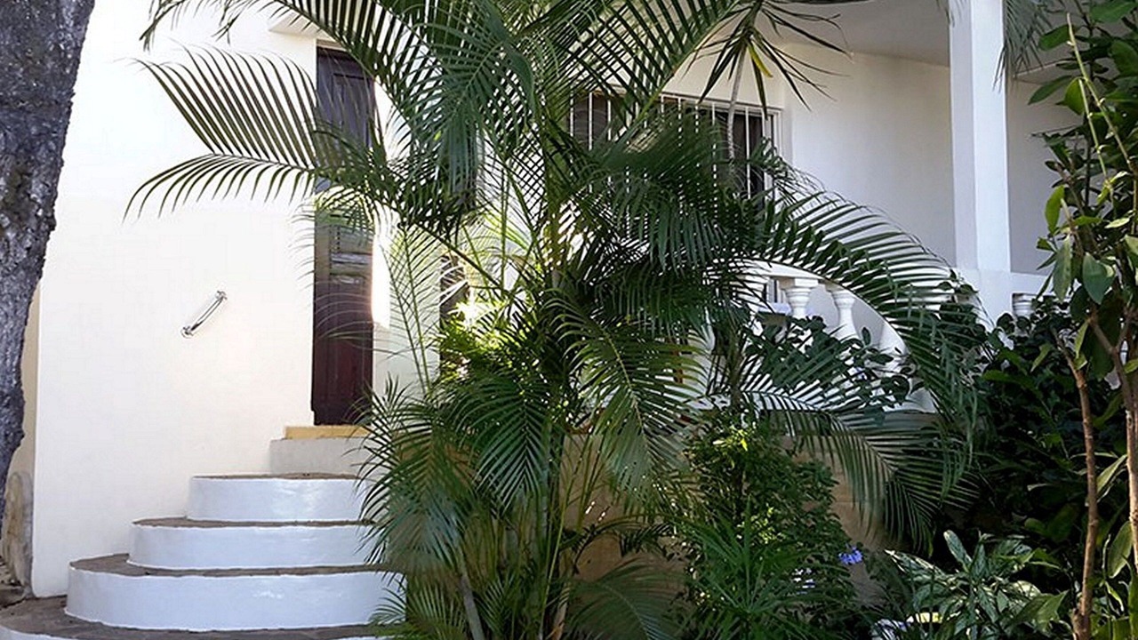 Photo of Outdoor in Los Charamicos