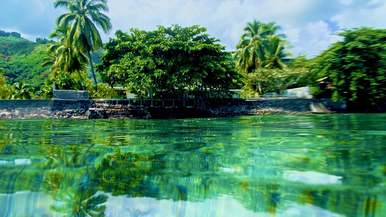 Photo of Outdoor in Punaauia