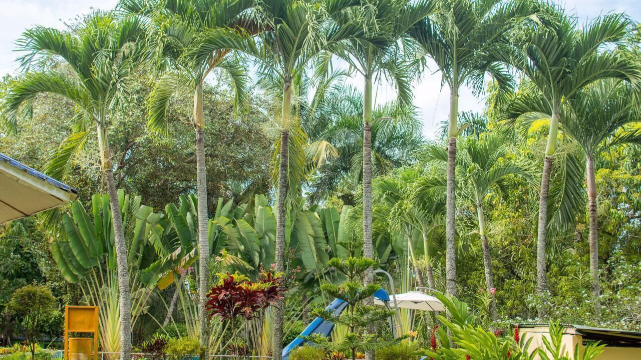 Photo of Outdoor in Santo Domingo Norte