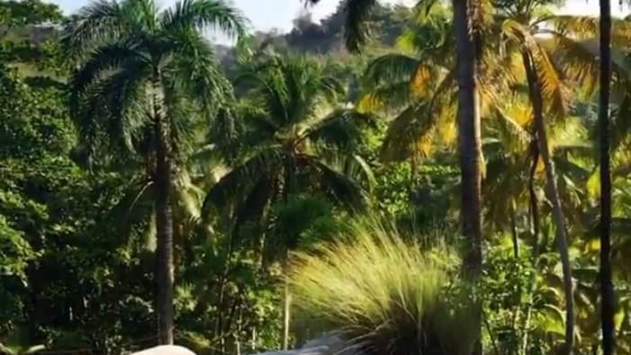 Photo of Outdoor in Las Terrenas