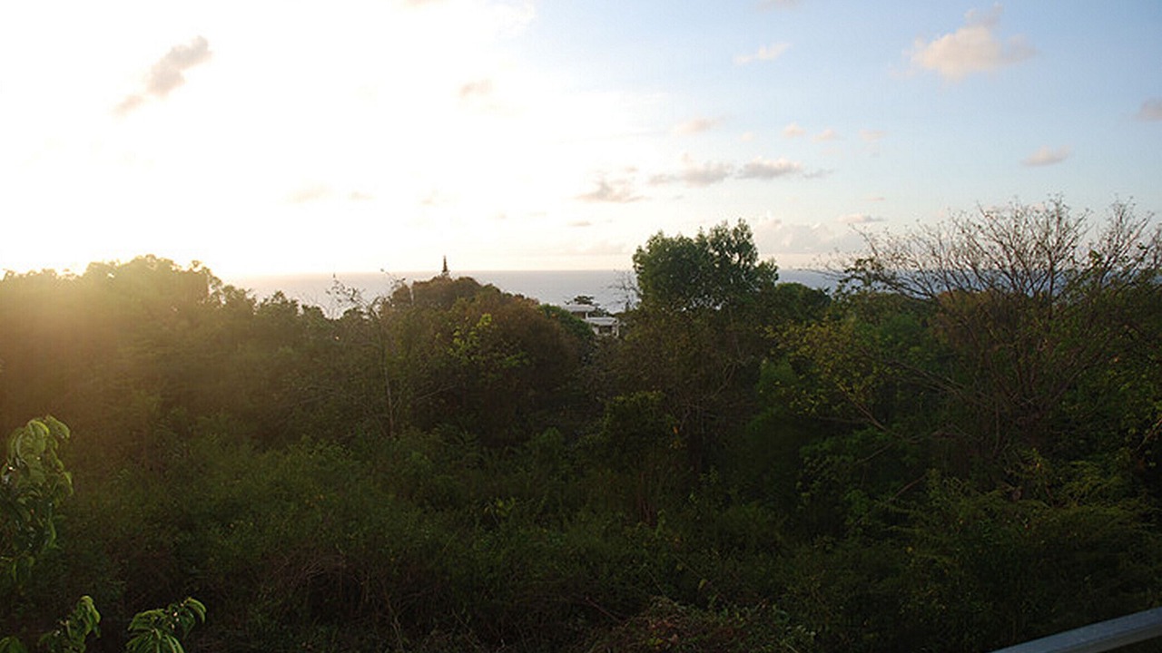 Photo of Others in Los Cerros