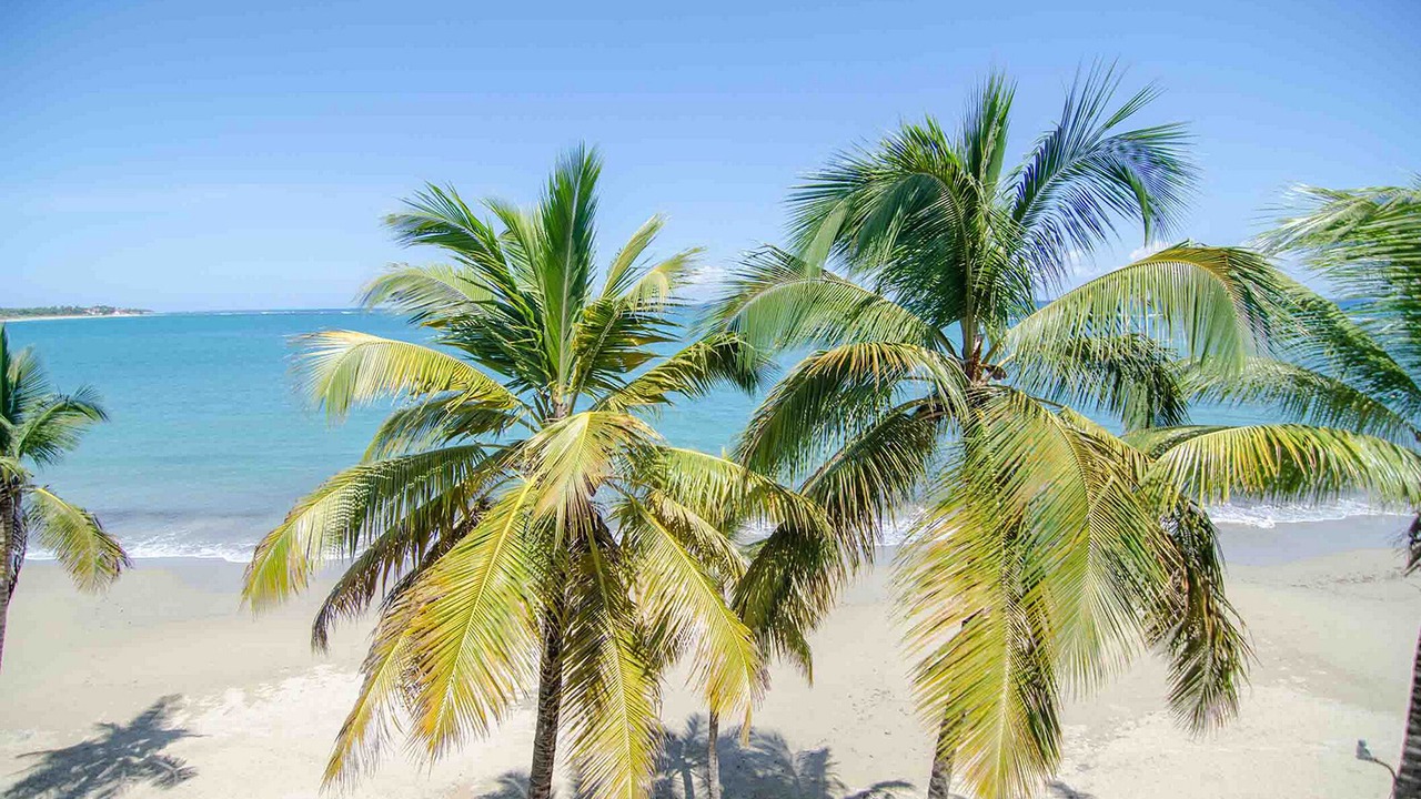 Photo of Others in Cabarete
