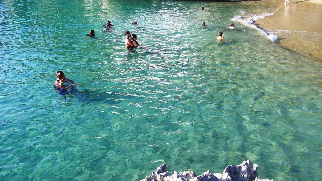Photo of Others in La Esplanada
