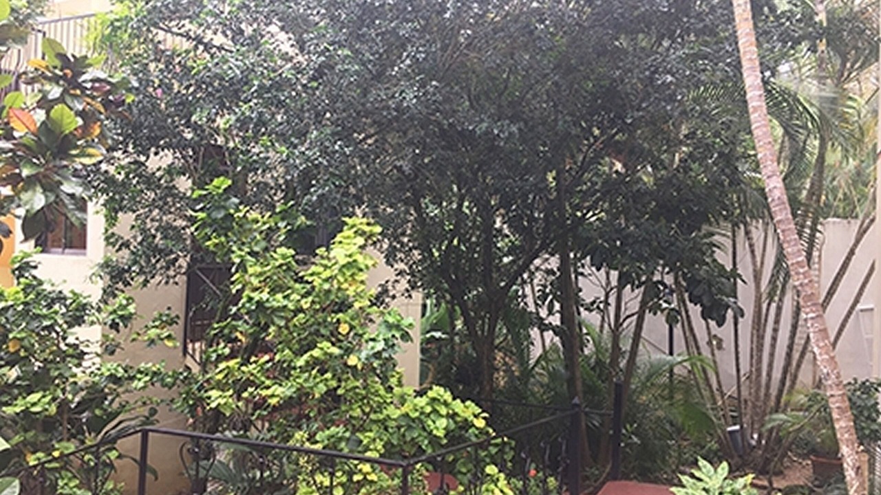 Photo of Outdoor in Sosua