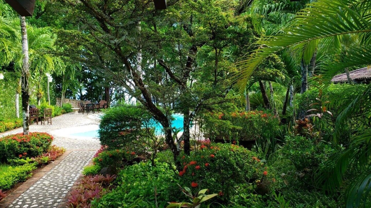 Photo of Outdoor in Rio San Juan