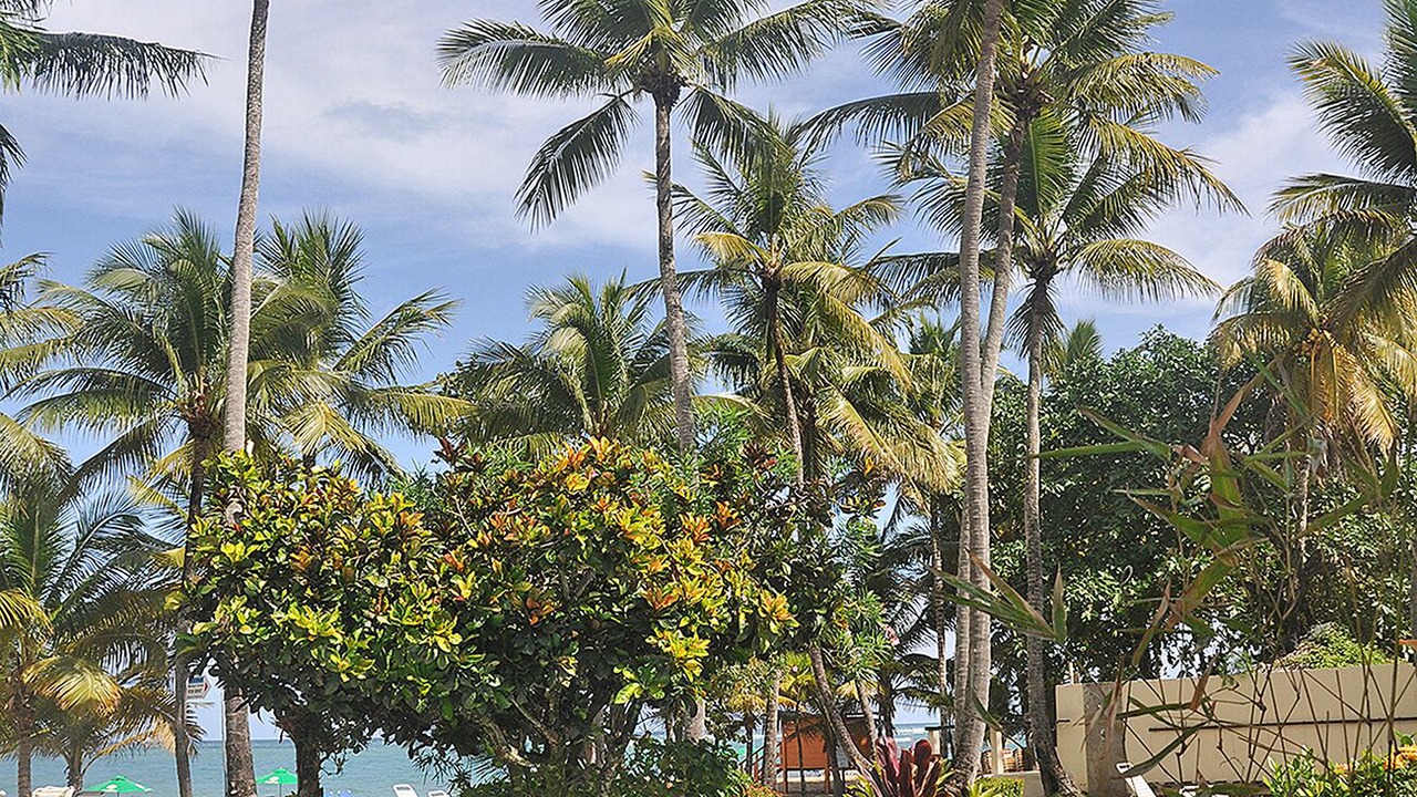Photo of Outdoor in Cabarete