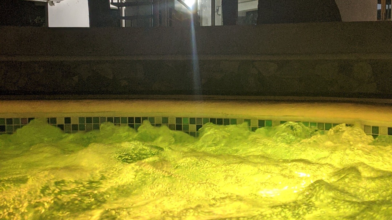 Photo of Outdoor in Janico