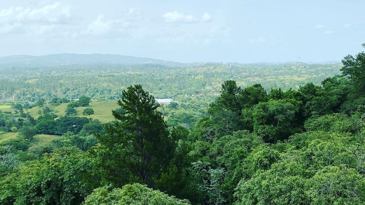 Photo of Others in La Vega Province