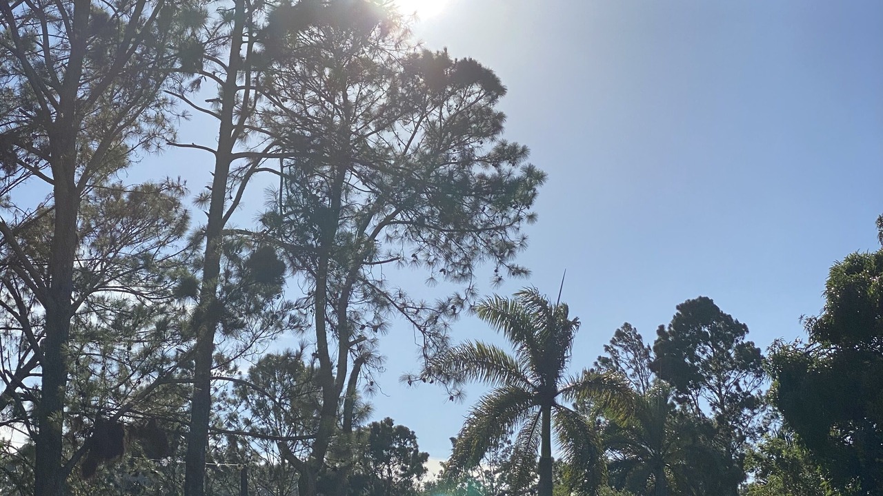 Photo of Outdoor in La Vega Province