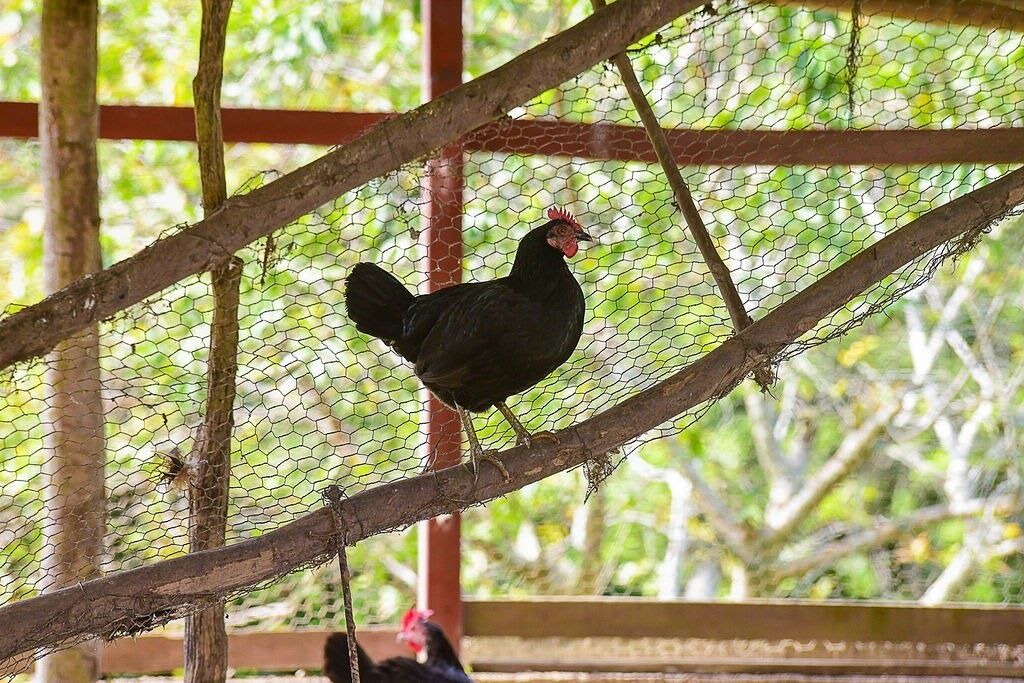 Photo of Outdoor in La Vega Province