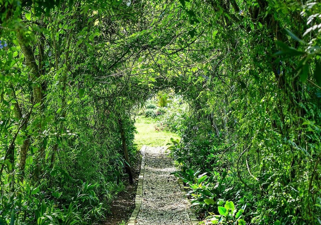Photo of Outdoor in La Vega Province