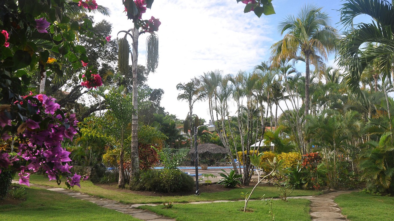 Photo of Outdoor in Sosua