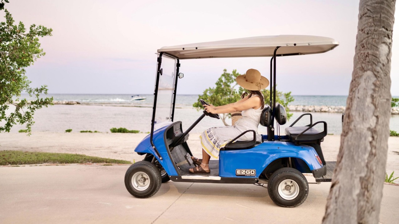 Photo of Others in Cap Cana Marina
