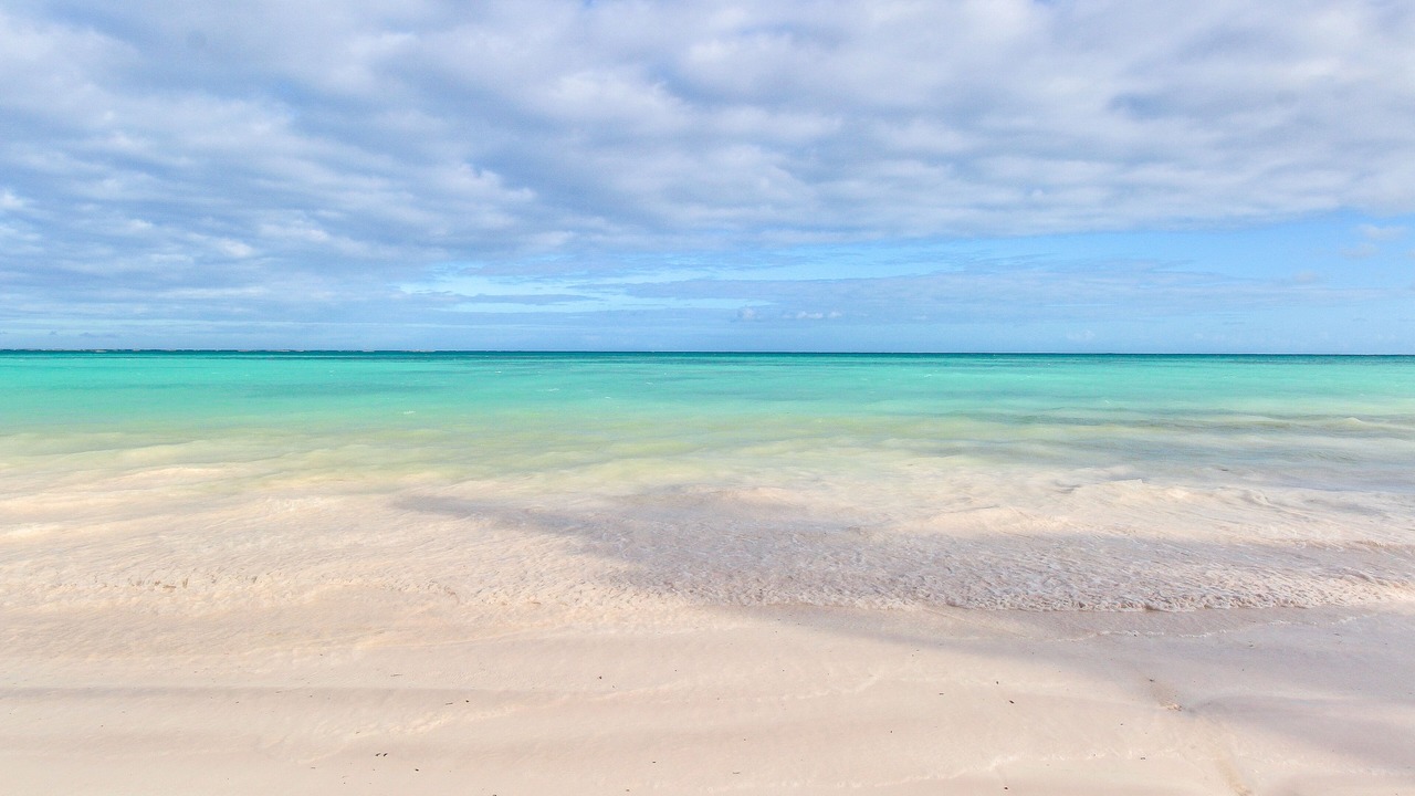 Photo of Others in Cap Cana Marina