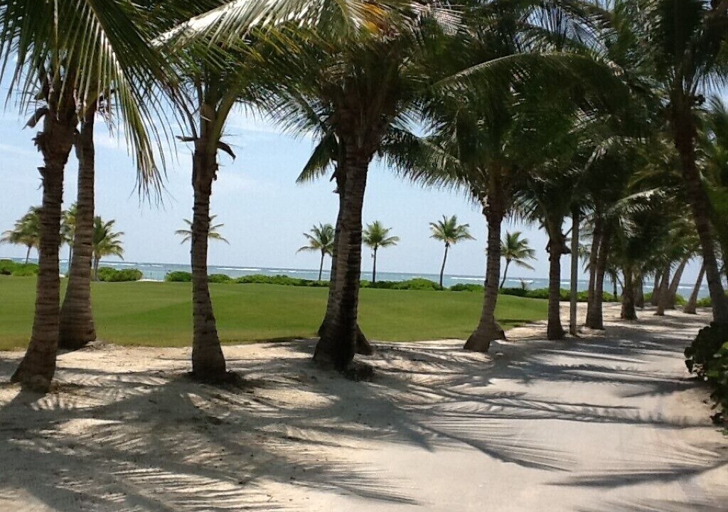 Photo of Outdoor in Punta Cana