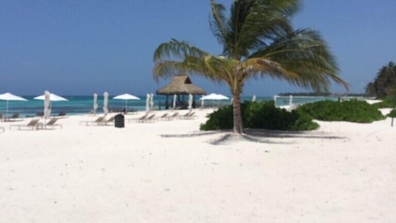 Photo of Outdoor in Punta Cana
