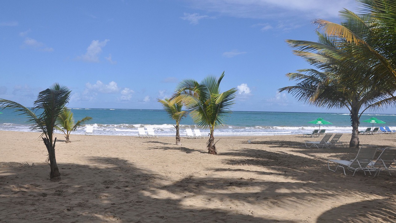 Photo of Others in Cabarete