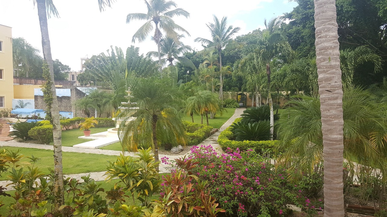 Photo of Outdoor in El Batey