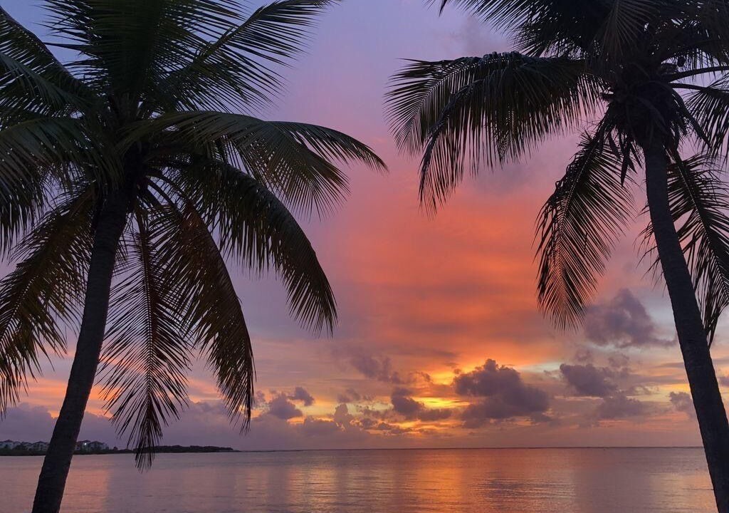 Photo of Others in Punta Cana