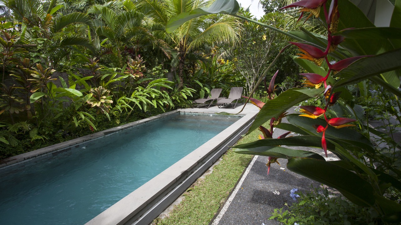 Photo of Outdoor in Ubud City-Centre