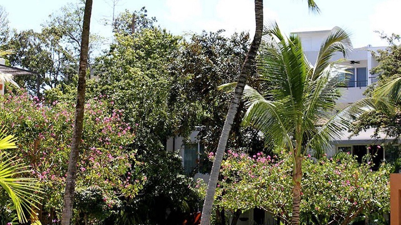 Photo of Outdoor in El Batey