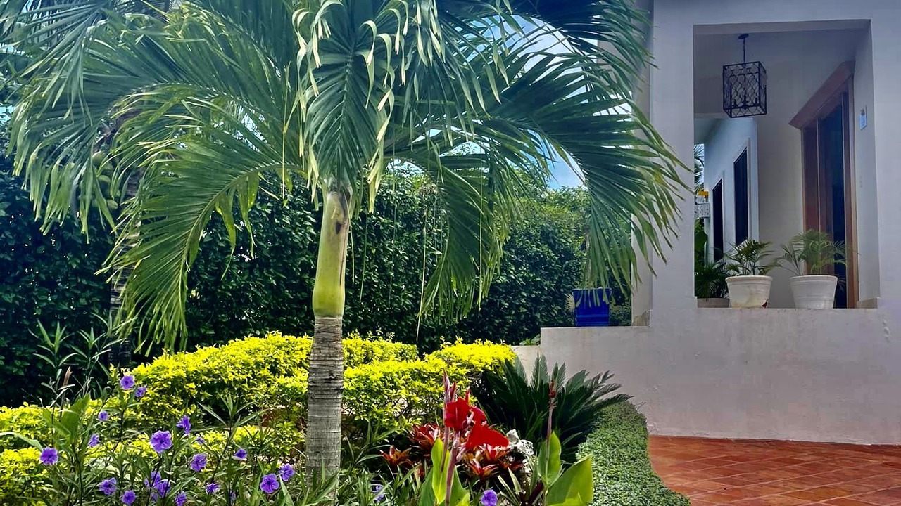 Photo of Others in Cabarete