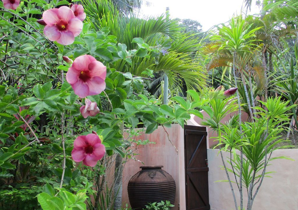 Photo of Outdoor in Anse Royale
