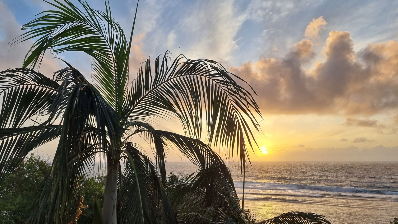 Photo of Others in Anse Royale