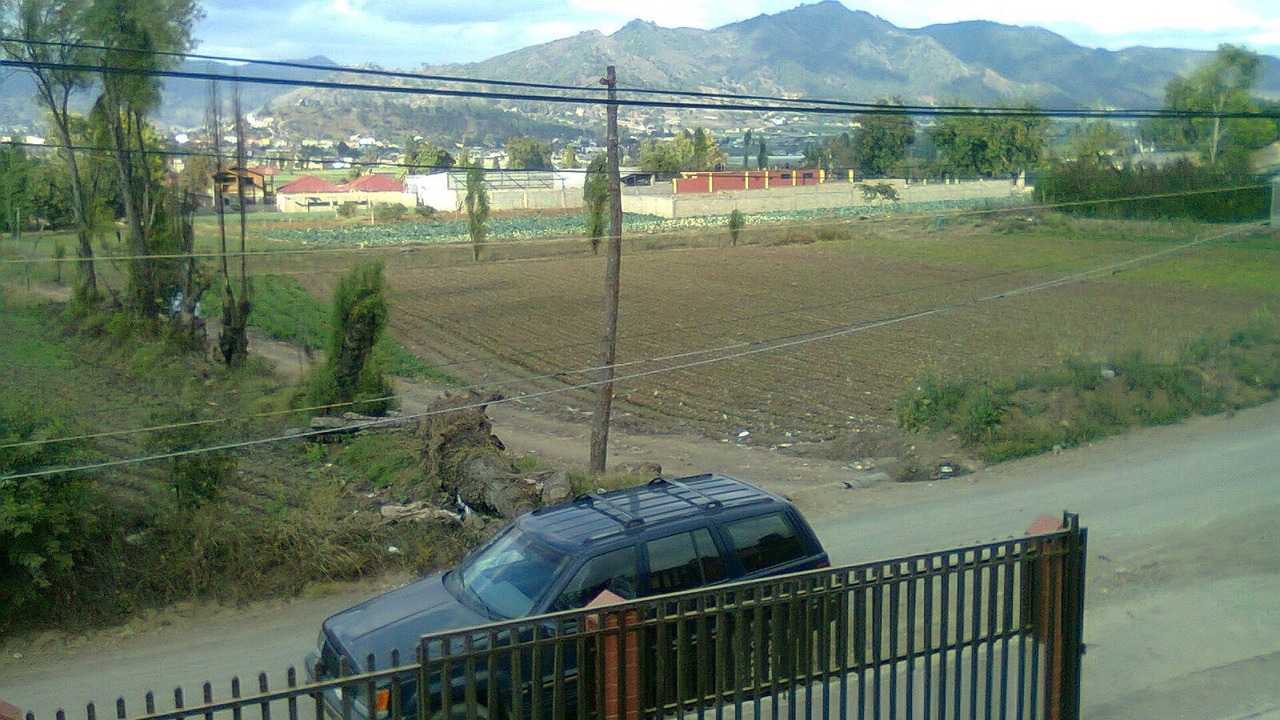Photo of Others in Constanza