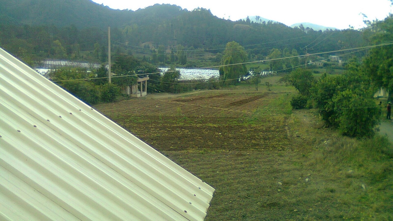 Photo of Outdoor in Constanza